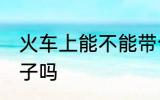 火车上能不能带勺子 火车上可以带勺子吗