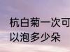 杭白菊一次可以泡几朵 杭白菊一次可以泡多少朵