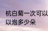 杭白菊一次可以泡几朵 杭白菊一次可以泡多少朵