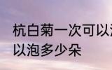 杭白菊一次可以泡几朵 杭白菊一次可以泡多少朵