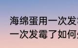 海绵蛋用一次发霉了怎么办 海绵蛋用一次发霉了如何处理