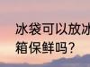 冰袋可以放冰箱保鲜吗? 冰袋能放冰箱保鲜吗?