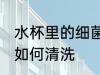 水杯里的细菌怎么清洗 水杯里的细菌如何清洗