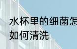 水杯里的细菌怎么清洗 水杯里的细菌如何清洗