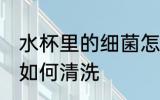 水杯里的细菌怎么清洗 水杯里的细菌如何清洗