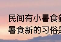 民间有小暑食新的习俗是指 民间有小暑食新的习俗是指什么