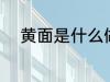 黄面是什么做的 黄面是什么面粉