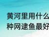 黄河里用什么网逮鱼最好 黄河里用哪种网逮鱼最好