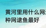 黄河里用什么网逮鱼最好 黄河里用哪种网逮鱼最好