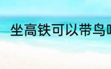 坐高铁可以带鸟吗 坐高铁能否带鸟