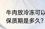 牛肉放冷冻可以放多久 冷冻的牛肉的保质期是多久？