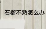 石榴不熟怎么办 石榴没熟怎么催熟
