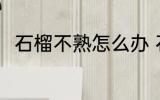 石榴不熟怎么办 石榴没熟怎么催熟