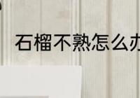 石榴不熟怎么办 石榴没熟怎么催熟