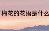 梅花的花语是什么 什么是梅花的花语